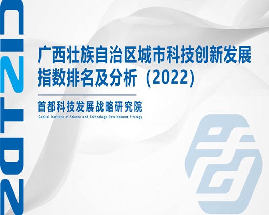 大鸡巴操b【成果发布】广西壮族自治区城市科技创新发展指数排名及分析（2022）